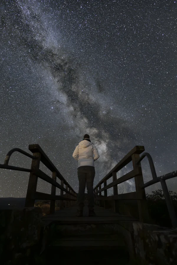 Chasing the Milky Way IV